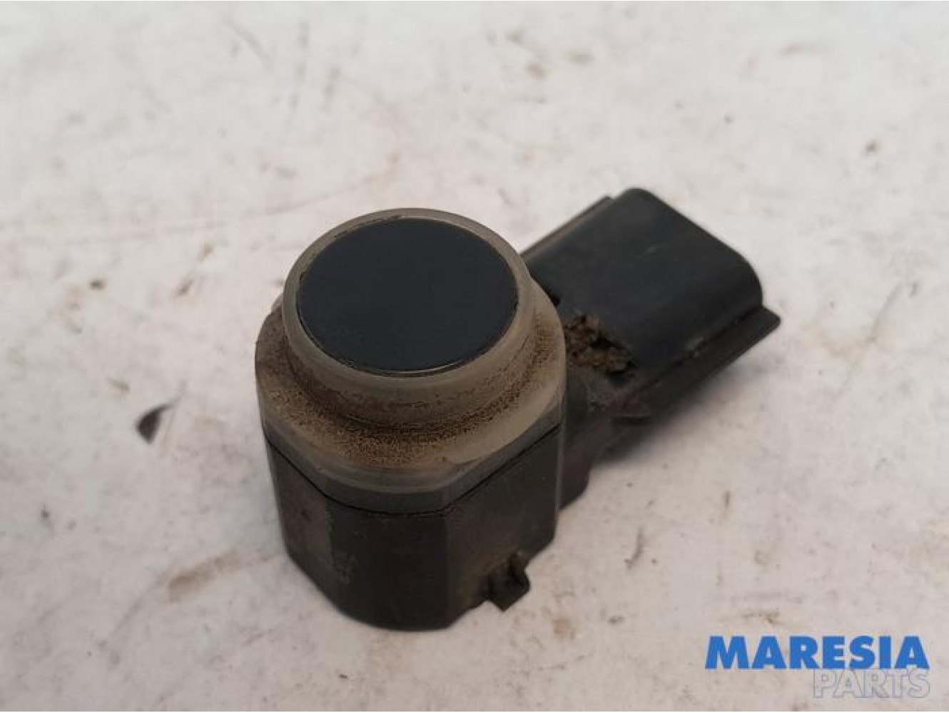 Renault - Scenic - PDC Sensor