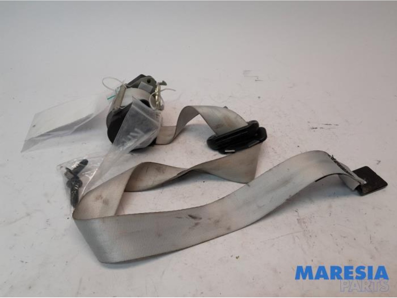 Renault - Scenic - Sicherheitsgurt rechts hinten