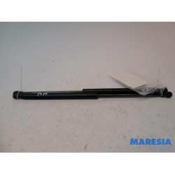 Fiat - Punto - Set of tailgate gas struts