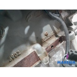Fiat - Punto - Engine