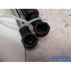 Citroen - Berlingo - Set Gasdämpfer Heckklappe