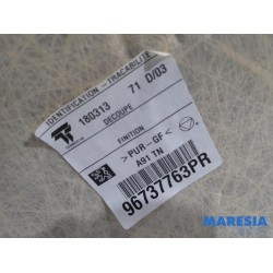 Peugeot - 208 - Dachverkleidung