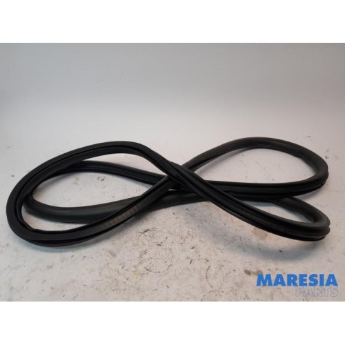 Citroen - C4 Picasso - Front door seal 4-door, left
