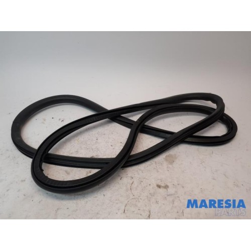 Citroen - C4 Picasso - Front door seal 4-door, right
