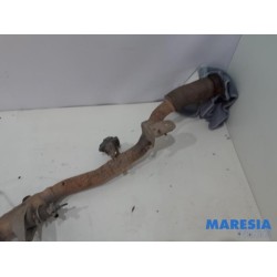 Renault - Trafic - Catalyseur