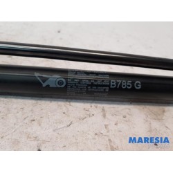 Citroen - C4 Picasso - Set of tailgate gas struts
