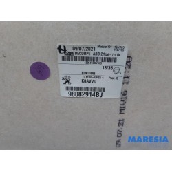 Peugeot - Expert - Dachverkleidung