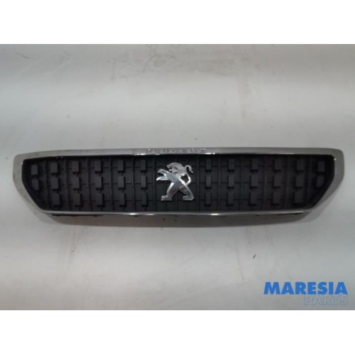 Peugeot - Expert - Grille