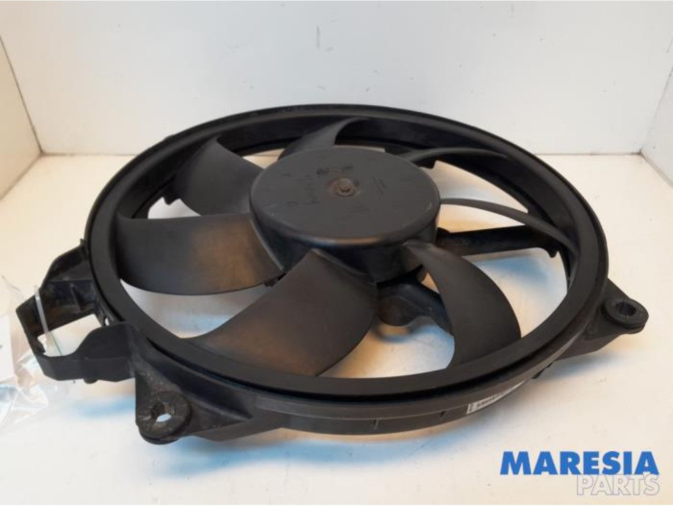 Renault - Megane - Kühlgebläse Motor