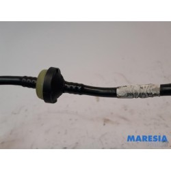 Peugeot - Expert - Sensor Remassistent