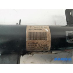 Citroen - DS3 - Front shock absorber rod, left