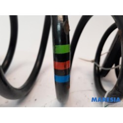 Peugeot - Expert - Rear coil spring