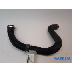 Peugeot - Expert - Intercooler hose