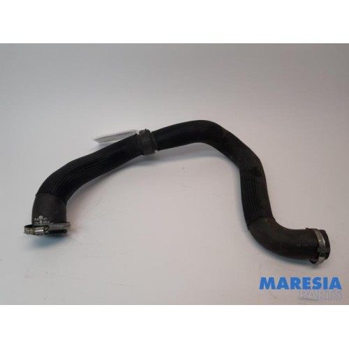 Peugeot - Expert - Intercooler hose