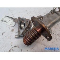 Renault - Kangoo - EGR cooler