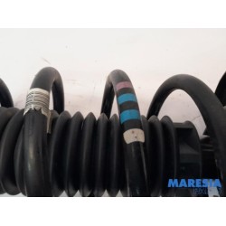 Peugeot - Expert - Front shock absorber rod, right