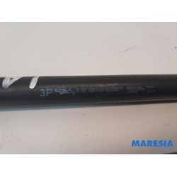 Citroen - DS3 - Set of tailgate gas struts