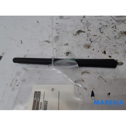 Peugeot - 208 - Antenne