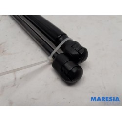 Lancia - Y(Psilon) - Set of tailgate gas struts