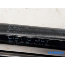 Lancia - Y(Psilon) - Set of tailgate gas struts