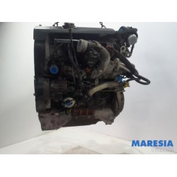 Fiat - Ducato - Engine