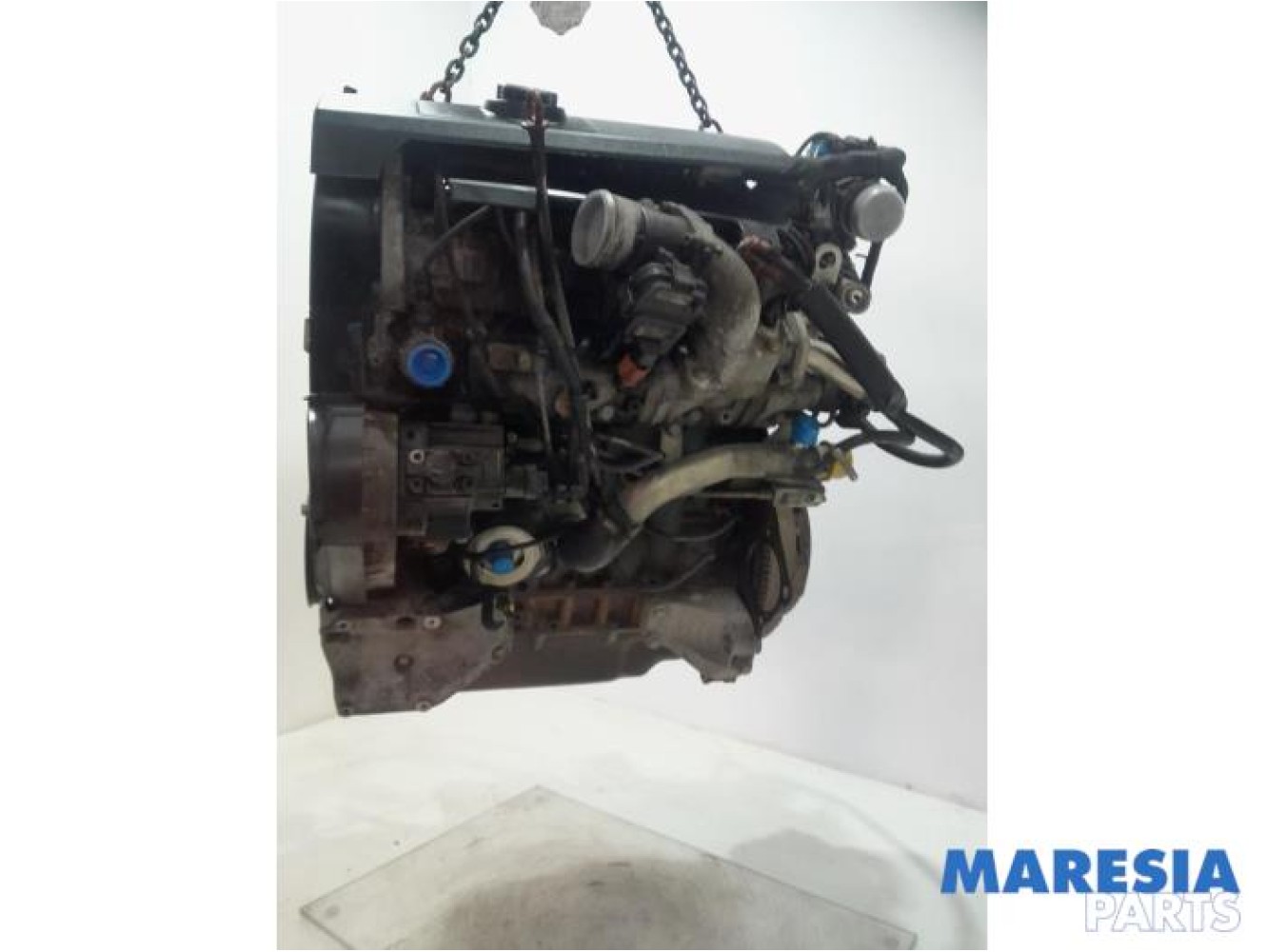 Fiat - Ducato - Engine