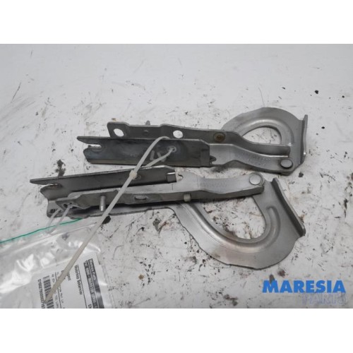 Peugeot - Expert - Bonnet Hinge