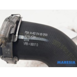 Peugeot - Expert - Intercooler hose