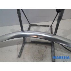Peugeot - RCZ - Dachleiste links
