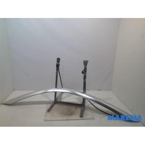 Peugeot - RCZ - Roof strip, left