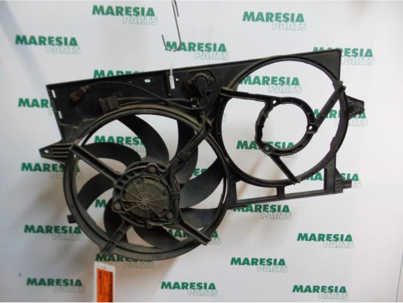 Citroen - Jumpy - Kühlgebläse Motor