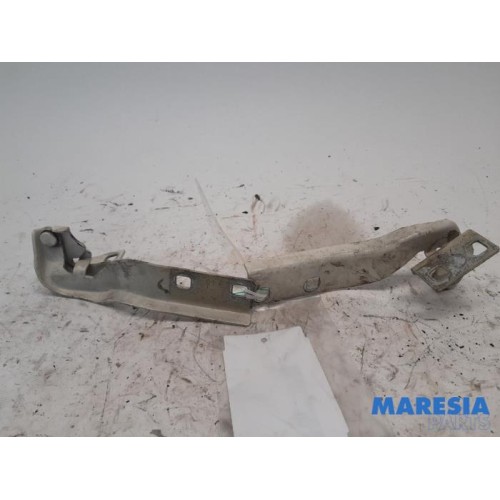 Fiat - Ducato - Bonnet Hinge