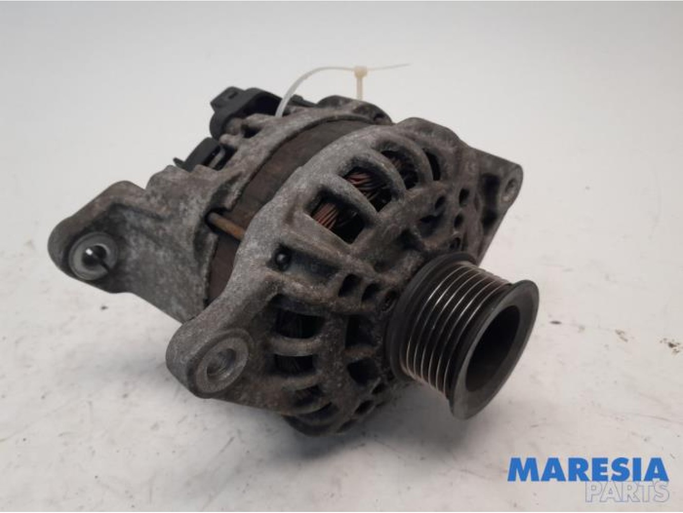Fiat - Ducato - Dynamo