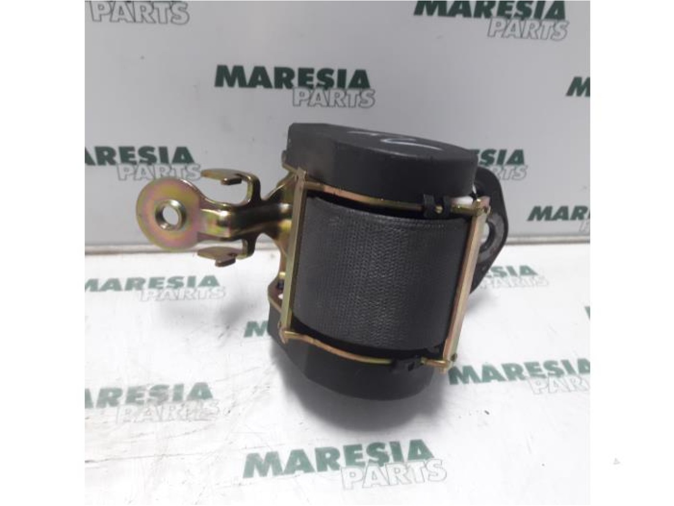 Renault - Megane Scenic - Front seatbelt, right