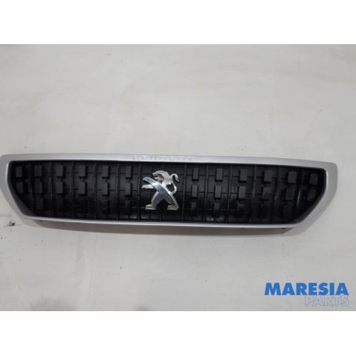 Peugeot - Expert - Grille