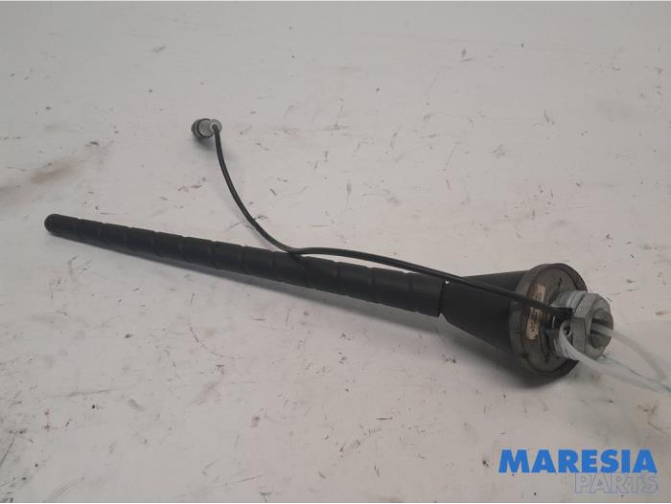 Fiat - 500 - Antenna