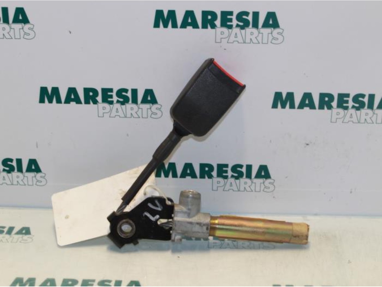 Renault - Laguna - Gurtsrammer links