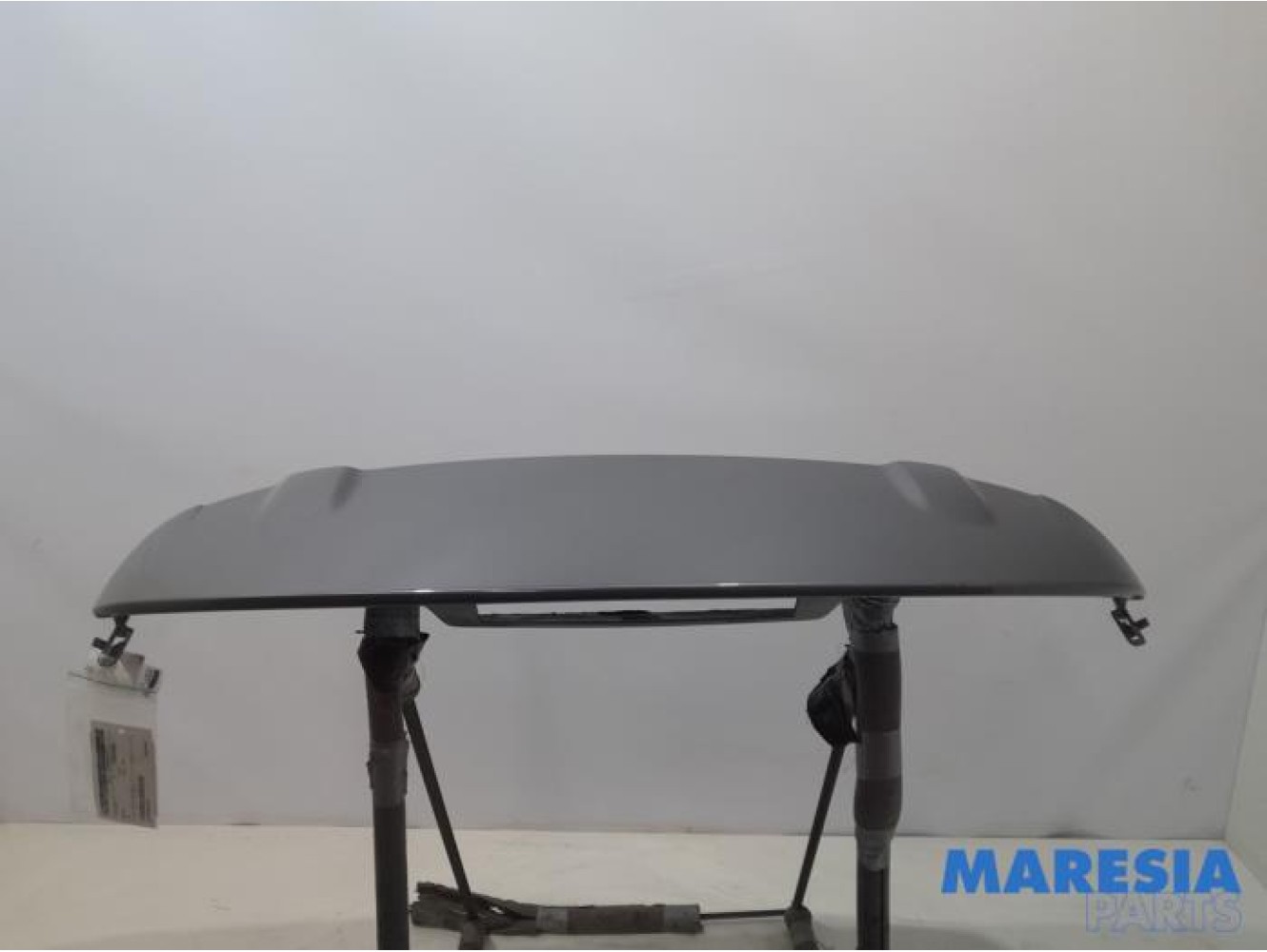 Renault - Clio - Spoiler tailgate