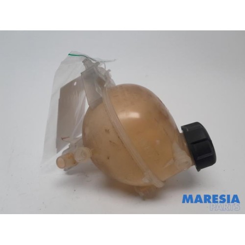Peugeot - Expert - Expansion vessel