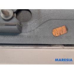 Peugeot - Expert - Sierstrip