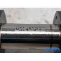 Citroen - DS4 - Nokkenas