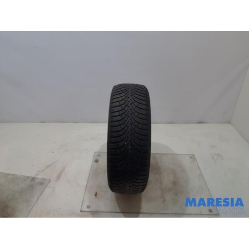 Fiat - Punto - Band
