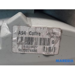 Peugeot - 2008 - Achterlicht links