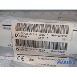Peugeot - 2008 - Airbag hemel rechts