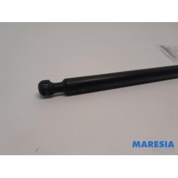 Renault - Clio - Gasdemper Motorkap links