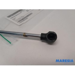 Renault - Clio - Gasdemper Motorkap links