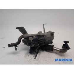 Citroen - C3 - EGR Klep
