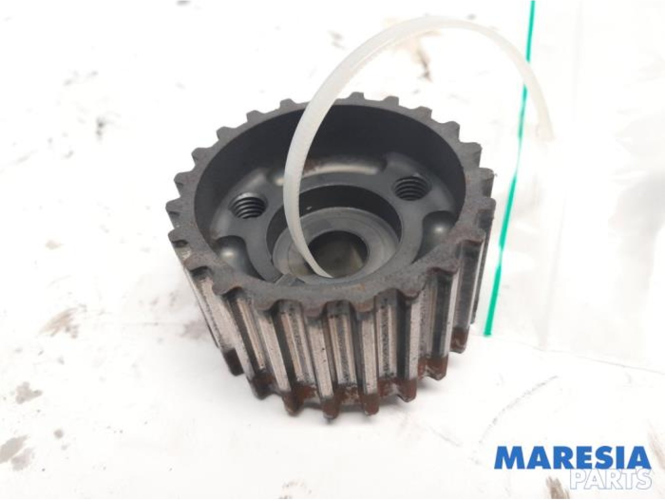 Fiat - Panda - Crankshaft sprocket