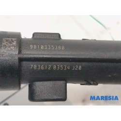 Citroen - C3 - Injector (petrol injection)