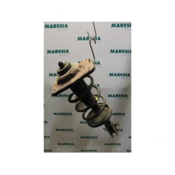 Citroen - Jumpy - Front shock absorber rod, right